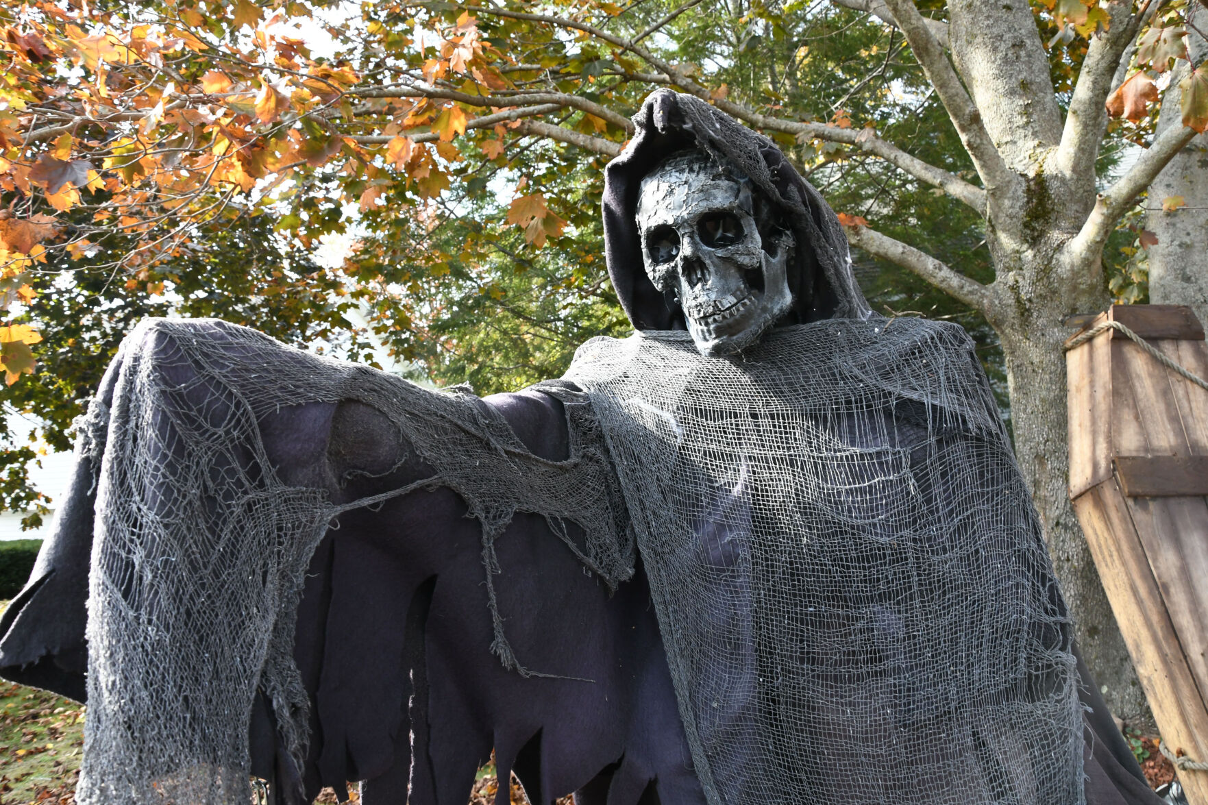 It's ghoul time in Pittsfield